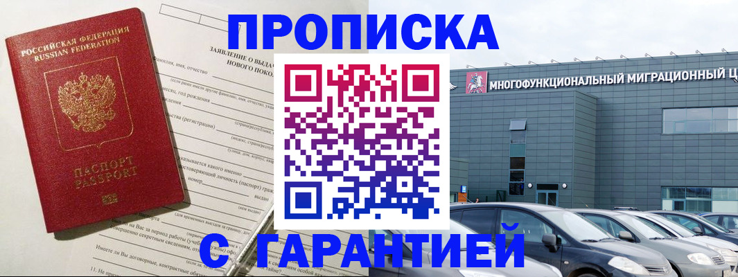 прописка поиск в Березниках